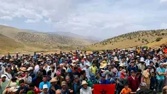 صورة نبتنانتبابب