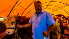 أسواق الماشية  - جيتي