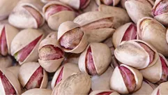 فستق حلبي