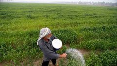 الزراعة في العراق- جيتي