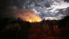 حرائق  الأمازون  غابة- جيتي