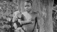 صبي  القرود  أفريقيا  أمريكا  اعتذار  حديقة- BBC
