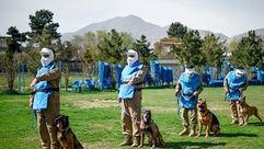 أفغانستان   كلاب   الكشف عن المتفجرات   جيتي