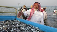 صيد الخليج سمك