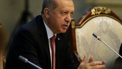 الرئيس التركي رجب طيب أردوغان- الأناضول