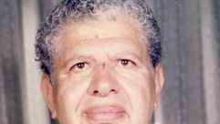 المفكر حامد ربيع تويتر