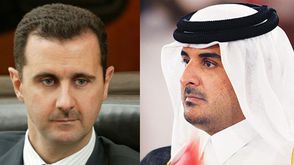 تميم والأسد