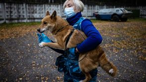 مدربة في مركز تدريب للكلاب تابع لشركة الطيران الروسية "أيروفلوت" تحمل كلبا في مدينة خيمكي قرب موسكو 