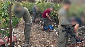 جنود الاحتلال يقدمون يد المساعدة للمستوطنين بقطاف العنب وسائل اعلام عبرية