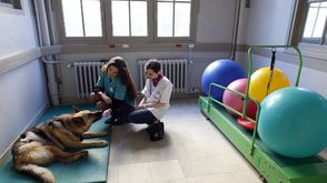عاملان يعتنيان بكلب في مركز الفورم لاعادة تاهيل الحيوانات في ضاحية باريس في 23 تشرين الاول/اكتوبر 20