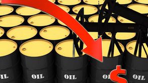 نفط أسعار هبوط النفط نفط