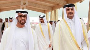 تميم بن حمد أمير قطر، ومحمد بن زايد ولي عهد أبوظبي
