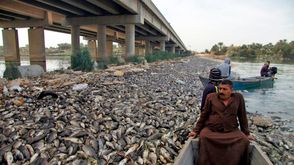 نفوق أسماك العراق- جيتي