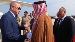 أردوغان في زيارة لقطر - الأناضول