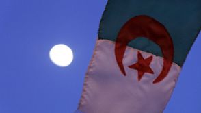 الحزائر علم العلم الجزائري جيتي
