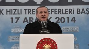 أردوغان- أناضول