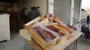 المشمش غذاء المحاصرين في الغوطة الشرقية دمشق سوريا الاناضول