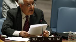 مندوب فلسطين بمجلس الأمن