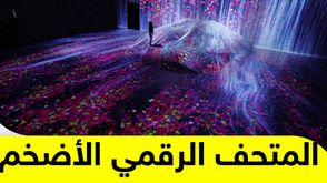 عربي21 TV