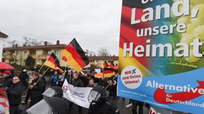 حزب البديل الألماني ألمانيا - أرشيفية