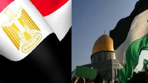 مصر  فلسطين  (عربي21)