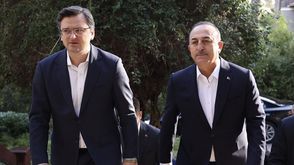 وزير الخارجية التركي والاوكراني - الأناضول