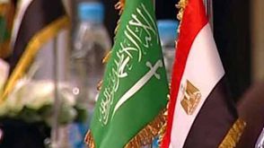 السعودية ومصر- أرشيفية