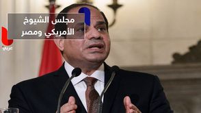 مجلس الشيوخ الأمريكي ومصر