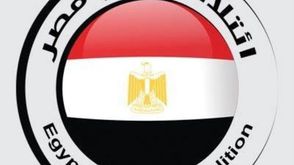 دعم مصر