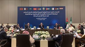 اللجنة الوزارية العربية - الأناضول