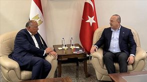 وزيرا خارجية تركيا ومصر  (الأناضول