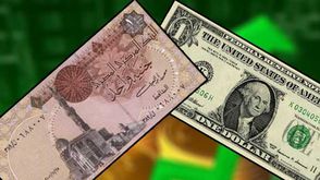 الجنيه المصري الدولار الأمريكي مصر البنك المركزي