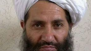 هيبة الله زعيم طالبان