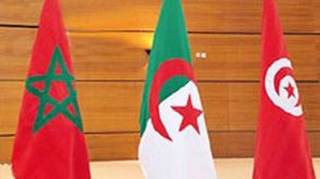 تونس الجزائر المغرب - أرشيفية
