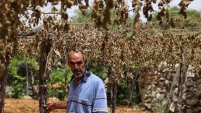 مزارع فلسطيني ماهر كراجي
