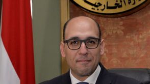 أحمد حافظ - المتحدث باسم الخارجية المصرية صورة رسمية
