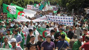 حراك الجزائر - الخبر