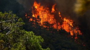 حرائق في الغابات بتركيا- الأناضول