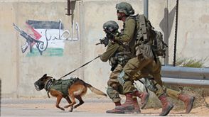 الكلاب تخضع لتدريبات قاسية ومكلفة وقتل منها الكثير على يد المقاومة في غزة- جيتي