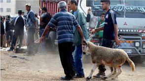 مننبمتنبمتنمببب
