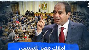 أملاك مصر للسيسي
