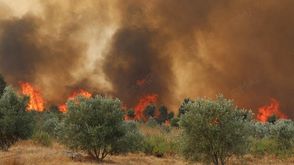 حريق حرائق في المغرب غابات الاناضول