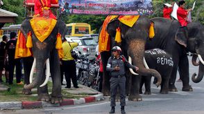 فيلة تروج لاستفتاء الدستور الجديد في تايلند- أرشيفية