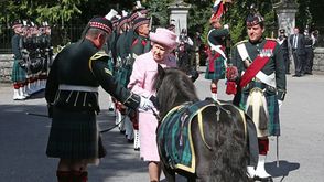 حصان عسكري مع ملكة بريطانيا- ديلي ميل
