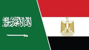 مصر والسعودية الأناضول
