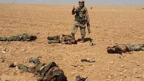 عنصر من داعش يلتقط صورة مع جثث جيش النظام السوري في الرقة - تويتر