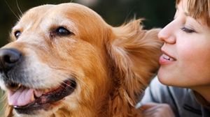 كلاب تساعد في الكشف عن مرض السكري