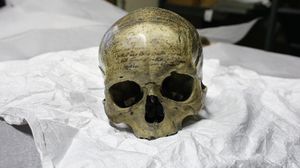 جمجمة ديكارت في معرض في باريس - أ ف ب