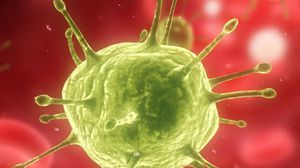 فيروس التهاب الكبد الوبائي - أرشيفة