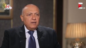 سامح شكري اتهم "الجزيرة" بالترويج لاستهداف الجيش المصري- يوتيوب